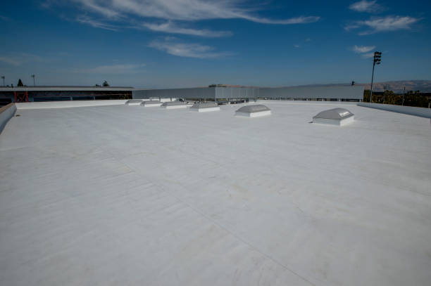 Best Cold Roofs  in Willards, MD